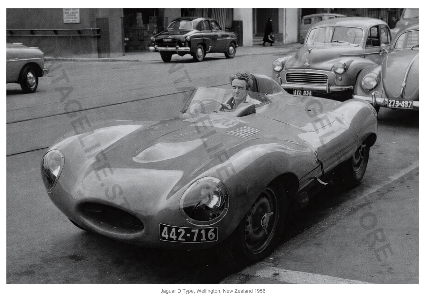 Jaguar D Type, Wellington, New Zealand 1956