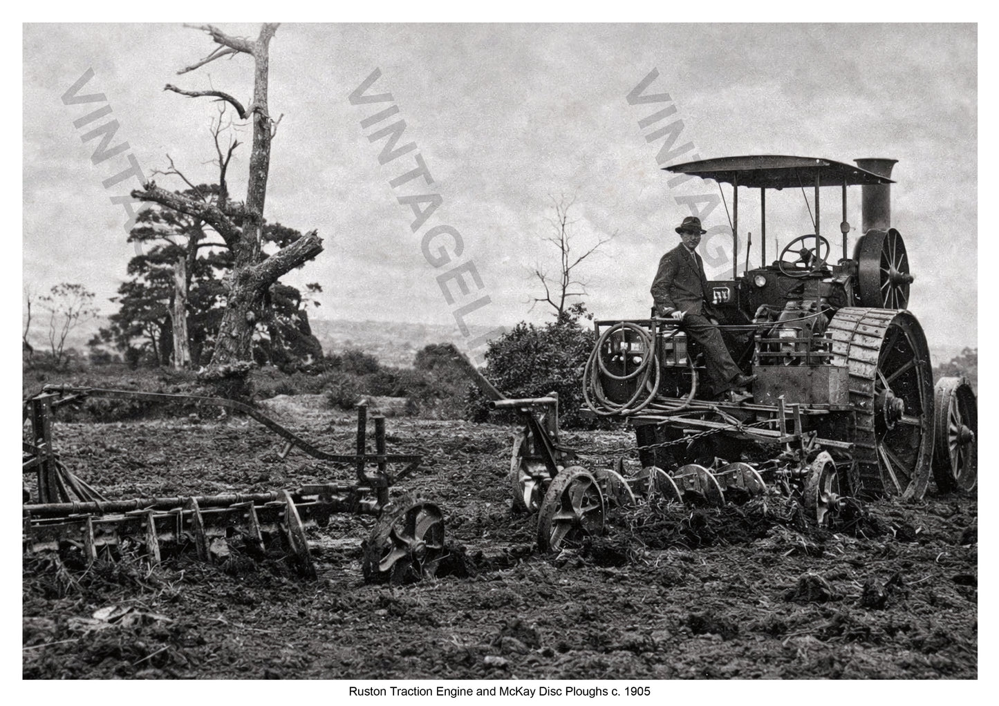 Ruston Traction Engine and McKay Disc Ploughs c. 1905