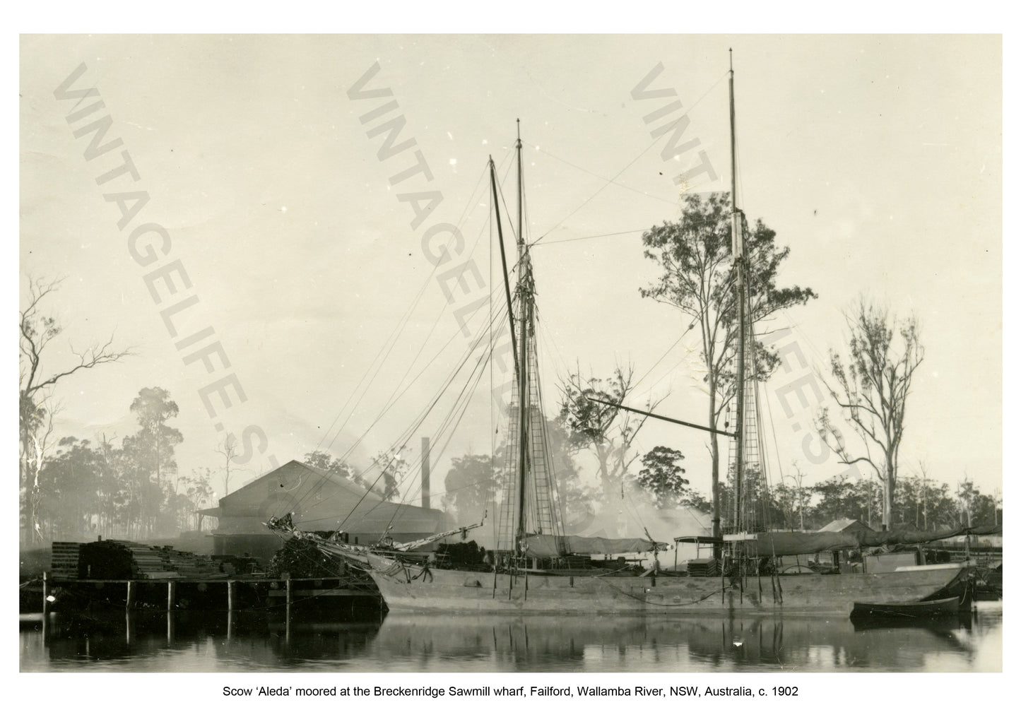 Scow ‘Aleda’ moored at the Breckenridge Sawmill wharf Failford, Wallamba River, NSW, Australia c 1902.
Coastal Shipping in the early 20th century around Australia and New Zealand