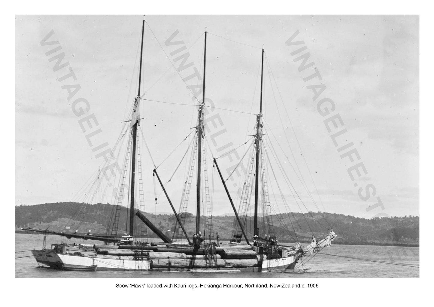 Scow ‘Hawk’ Hokianga Harbour, Northland, New Zealand, loaded with Kauri logs, c. 1906. Coastal Shipping in the early 20th century around New Zealand
