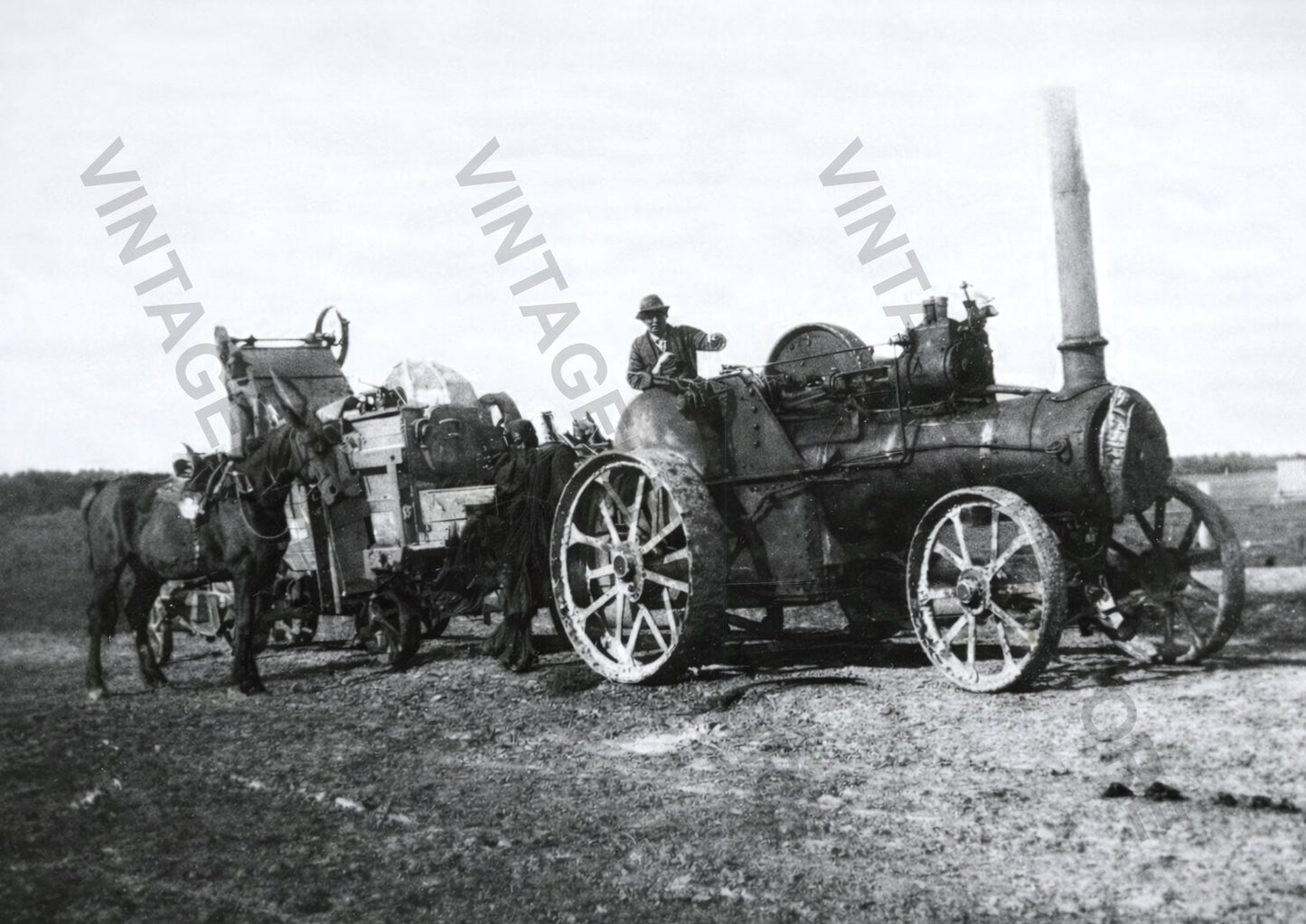 Steam Traction Engine and Chaff Cutter, Waikawa, Southland, c1890s