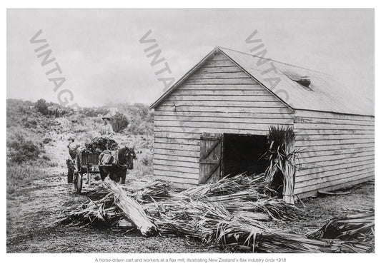 Horse-Drawn Cart and Workers at a New Zealand Flax Mill, c.1918