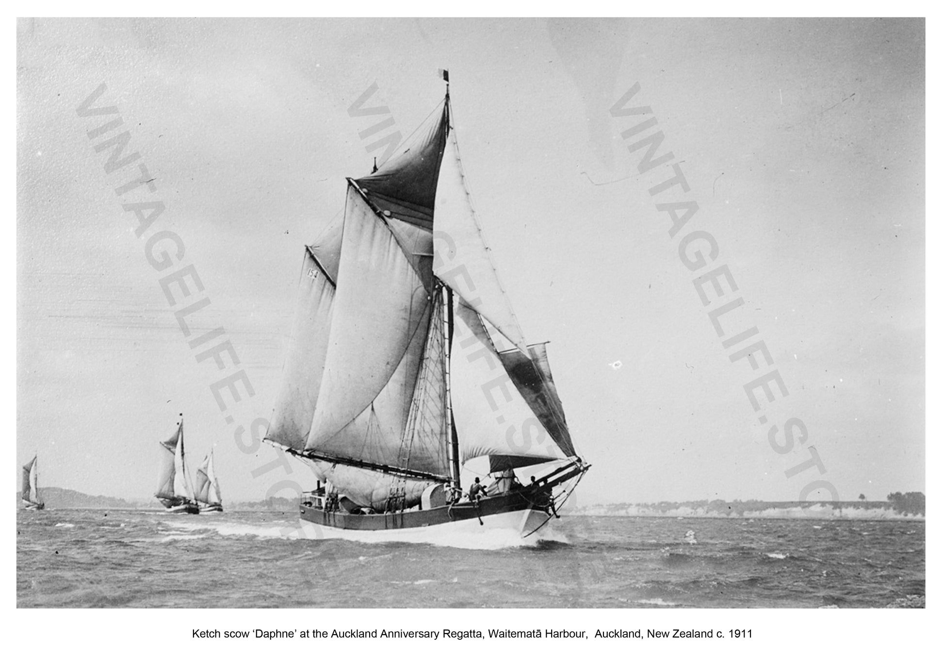 Ketch scow ‘Daphne’ racing at the Auckland Anniversary Regatta, Waitematā Harbour, Auckland, New Zealand, c. 1911. Coastal Shipping in the early 20th century around New Zealand