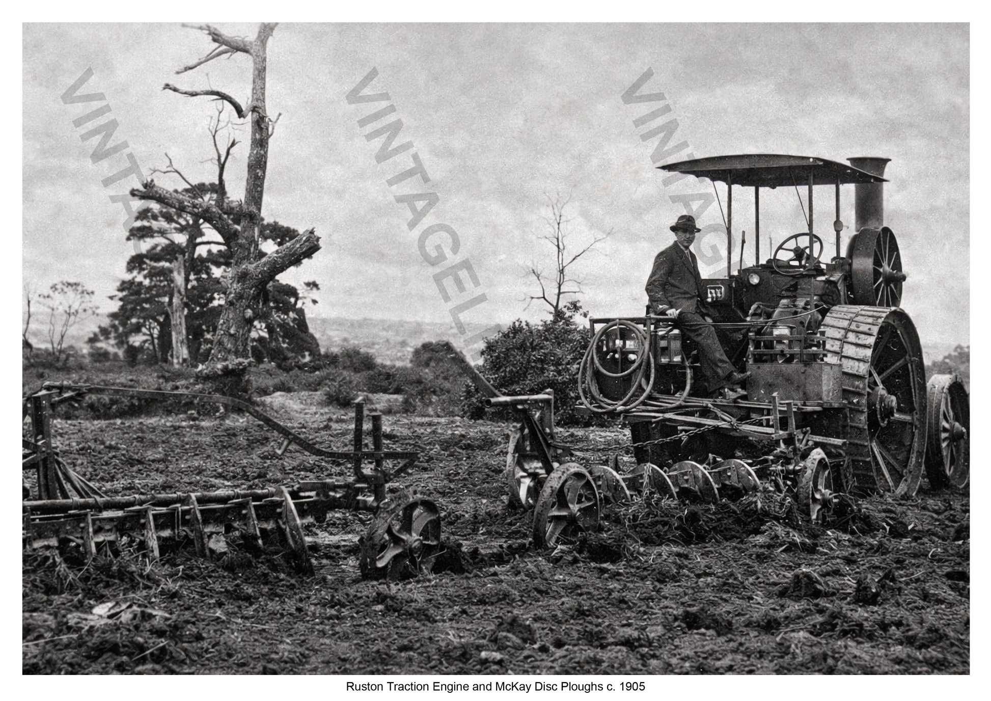 Ruston Traction Engine and McKay Disc Ploughs c. 1905
