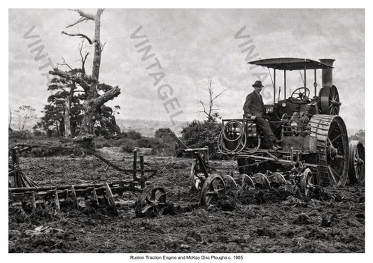 Ruston Traction Engine and McKay Disc Ploughs c. 1905