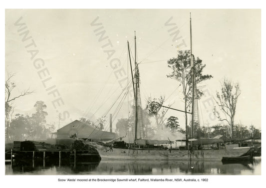 Scow ‘Aleda’ moored at the Breckenridge Sawmill wharf Failford, Wallamba River, NSW, Australia c 1902. 
Coastal Shipping in the early 20th century around Australia and New Zealand