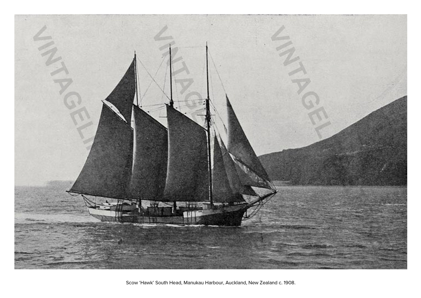 Scow ‘Hawk’, South Head, Manukau Harbour, Auckland, New Zealand, c. 1908. Coastal Shipping in the early 20th century around New Zealand
